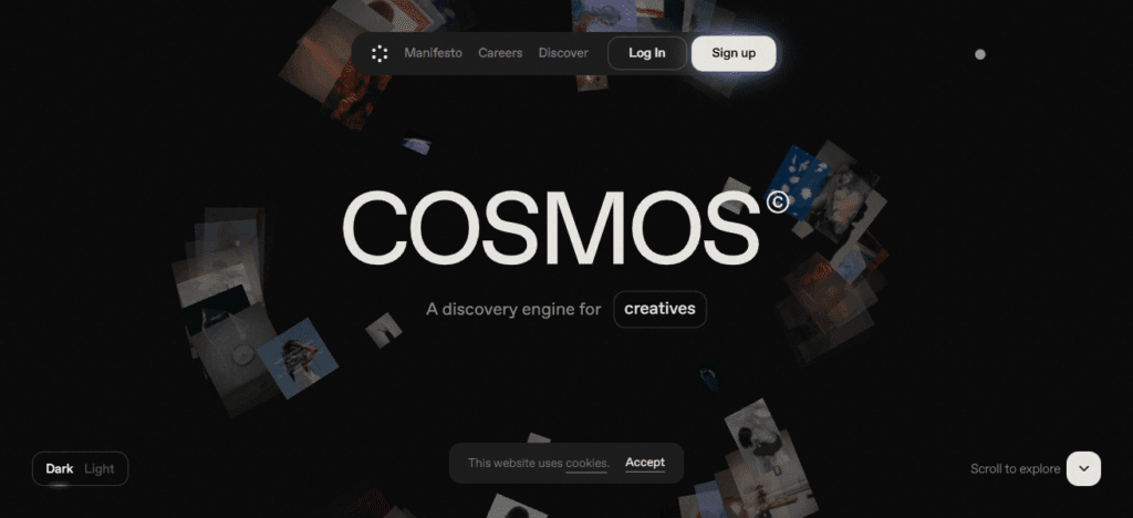Cosmos
