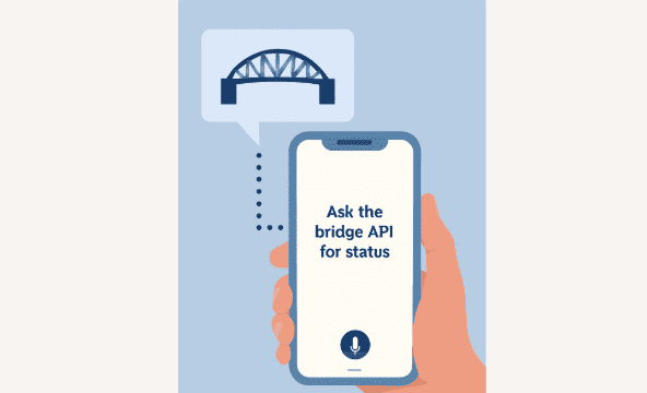 Ask the Bridge API for Status