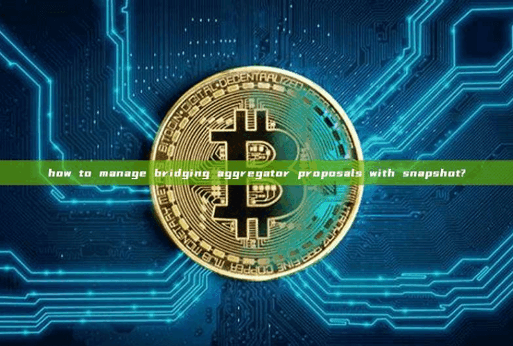 How To Manage Bridging Aggregator Proposals With Snapshot