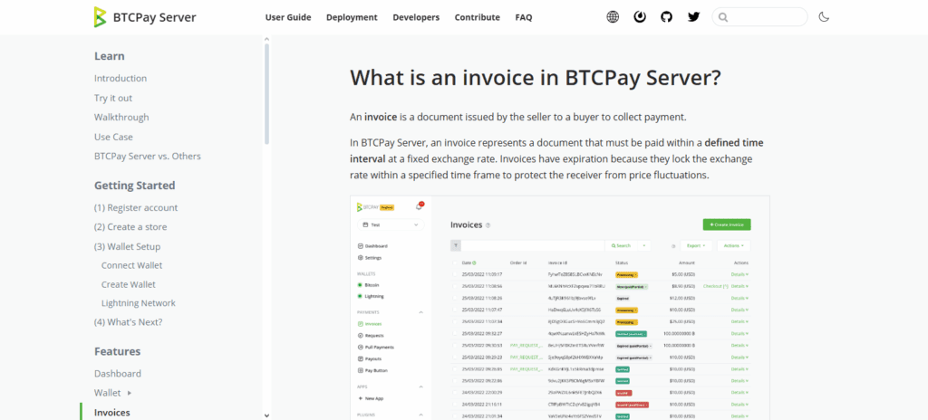 BTCPay Server