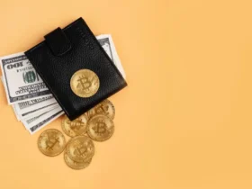 10 Top Crypto Agencies Accepting BTC & USDT Payments