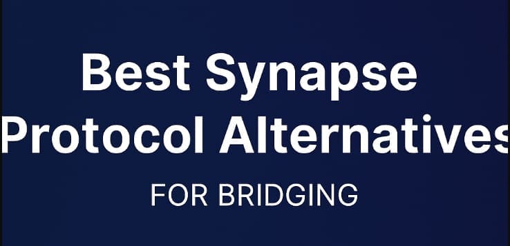 10 Best Synapse Protocol Alternatives For Bridging