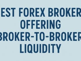 10 Best Forex Brokers Offering Broker-to-Broker Liquidity