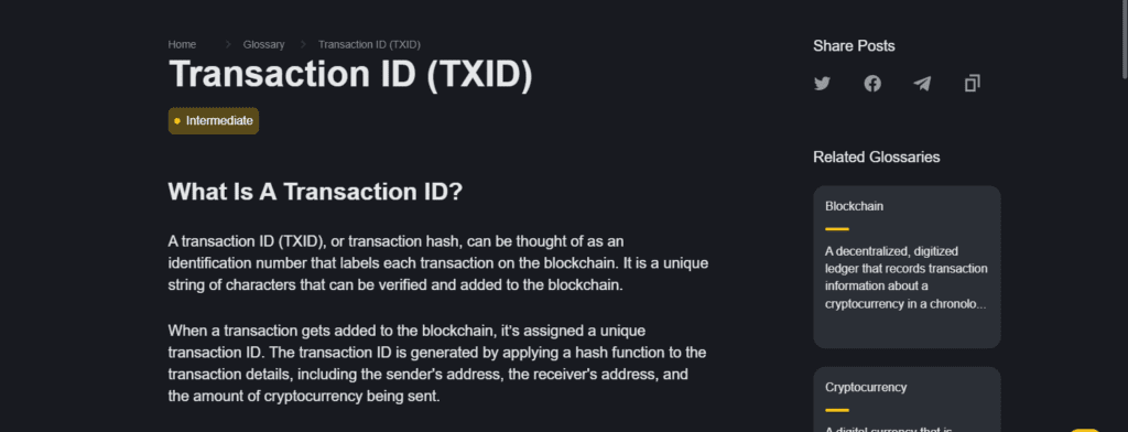 What is a Bitcoin Transaction Hash (TXID)?