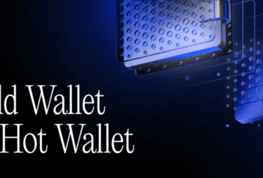 Cold Wallet vs Hot Wallet: Which Crypto Wallet Is Safer?