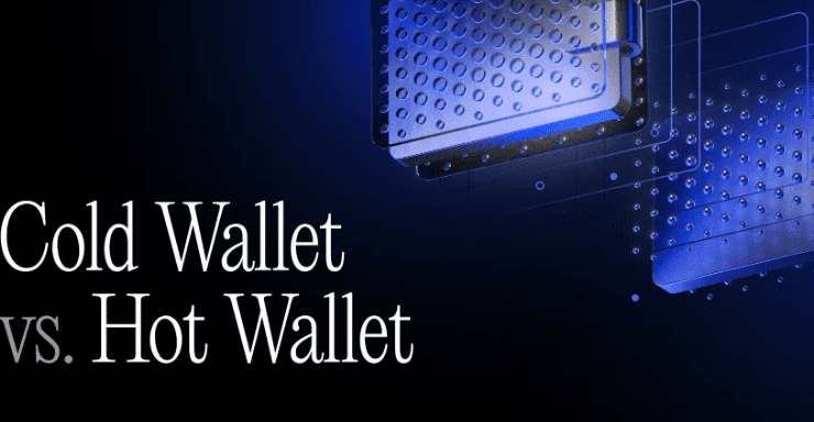 Cold Wallet vs Hot Wallet: Which Crypto Wallet Is Safer?