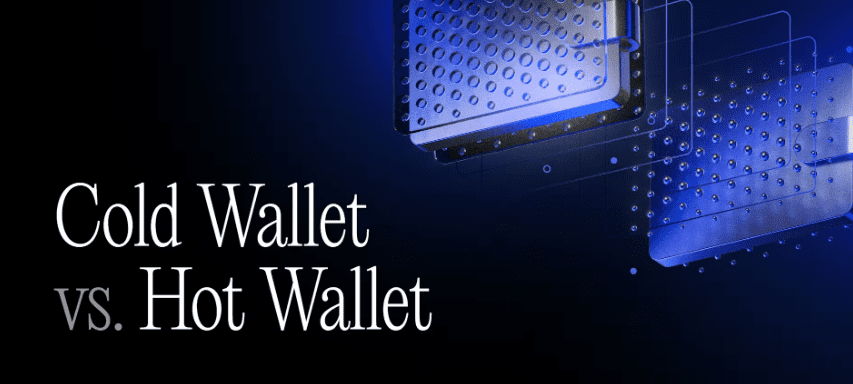 Cold Wallet vs Hot Wallet: Which Crypto Wallet Is Safer?