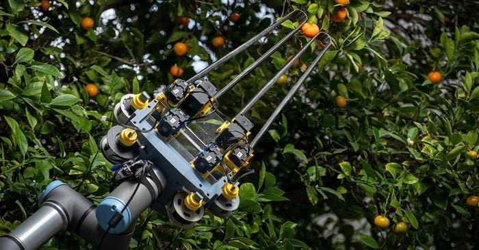 AI Fruit Sorter