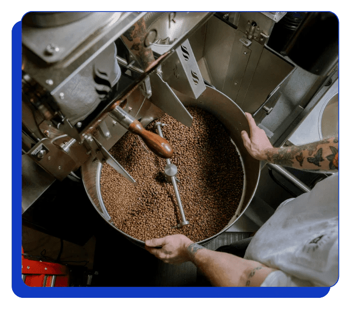 Automated Coffee Bean Sorter