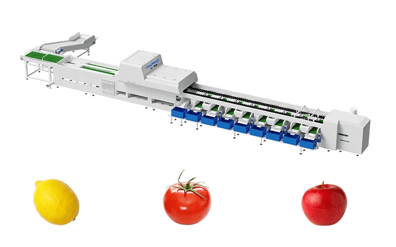 Optical Vegetable Sorter