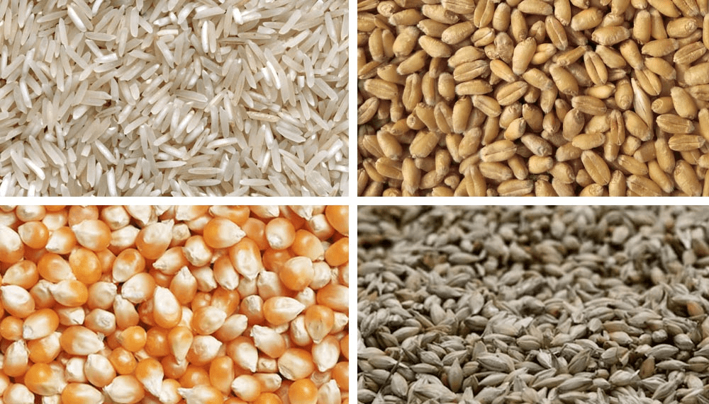 AI Grain Sorting Machinery